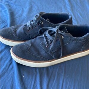 Ted Smith Suede Navy Wingtips